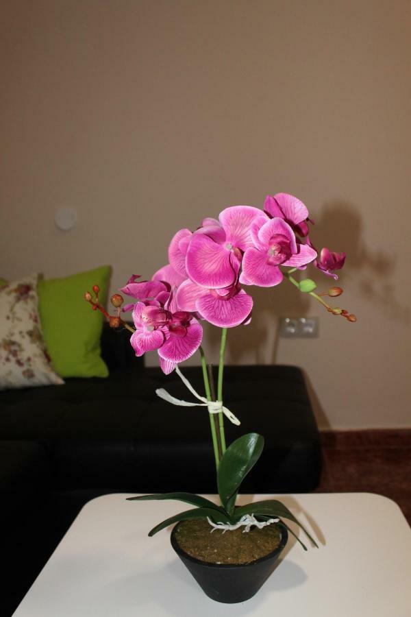 Beautiful Apartment Hercules กอสตา เดล ซิเลนซิโอ ภายนอก รูปภาพ